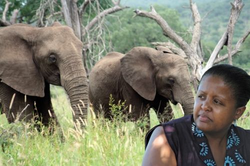 Thuli Brilliance Makama, Swaziland