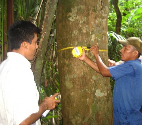 Maya community members, Belize