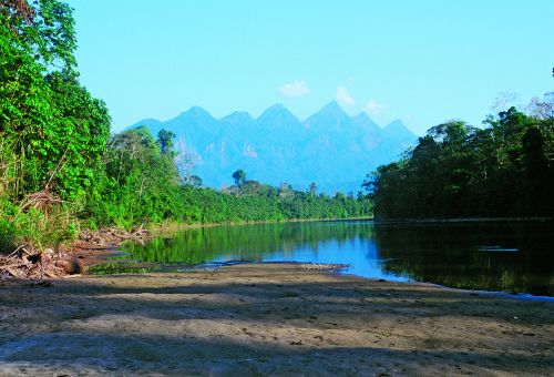 Cordillera Azul National Park